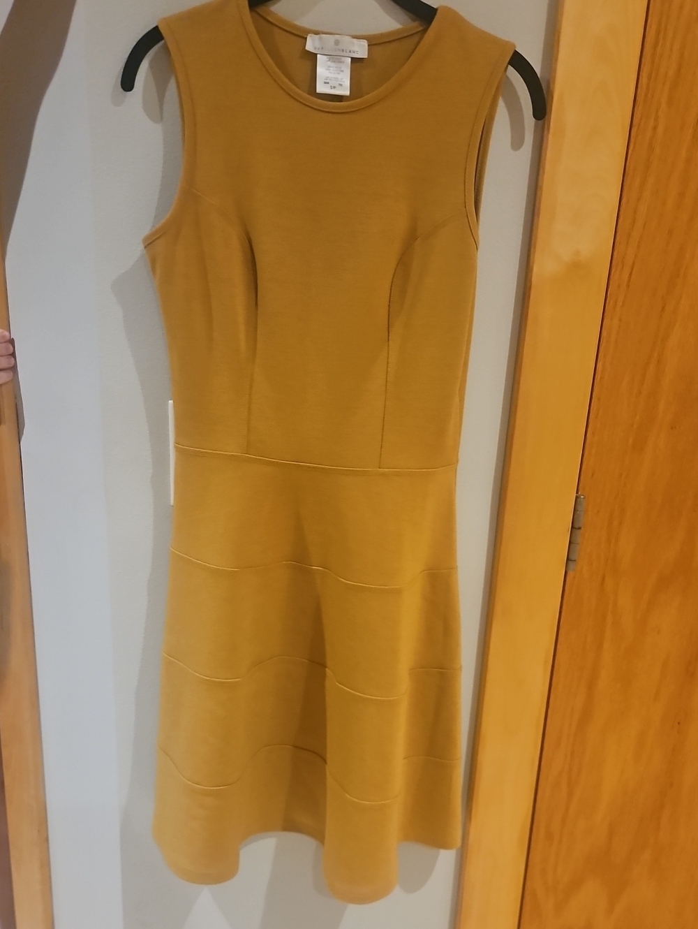 Papillon Blanc Sleeveless Mustard Fit & Flare Dress